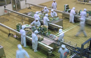 蒙牛乳業(yè)袋裝奶生產(chǎn)線（塑鋼板鏈輸送）